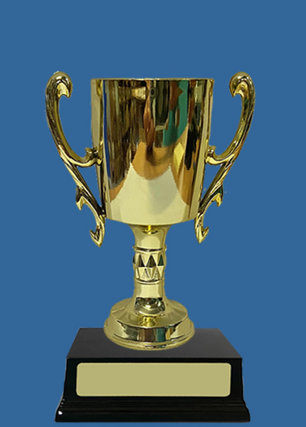 130_a Gold Plastic Cup on Rosewood