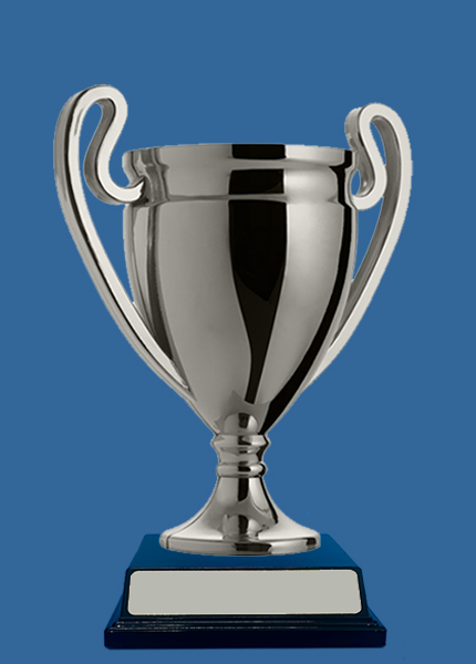 894-_Se Plastic Trophy Cup Silver on Black Base
