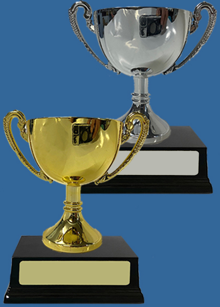 EC02CS&Gi+DK Small Gold & Silver Plastic Cup on Dark Wood