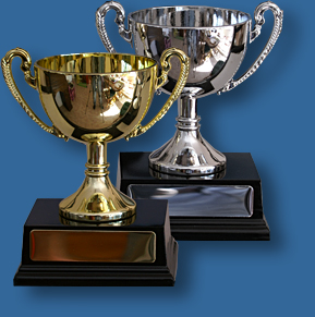 Small Plastic Trophy Cup