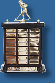 Perpetual Trophy 719-8e Rosewood Timber stand with gold engraving plates