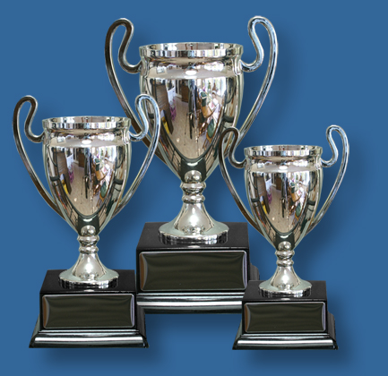Details about   Large Silver Cast Cup Award on Plastic Base with Optional Engraving 