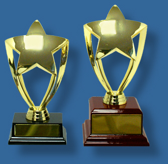 Star Business Trophies on timber bases