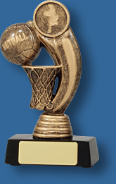 Netball ring and ball trophy