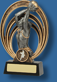 Gold netball figurine award