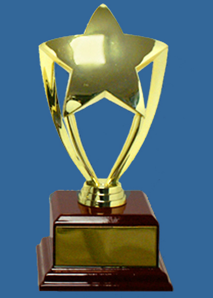 4095t+816-1WGe Gold Star Trophy