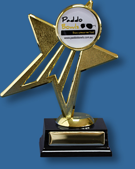 Gold Star Trophy with 50mm Insert, shiny plastic figure on dark rosewood timber base