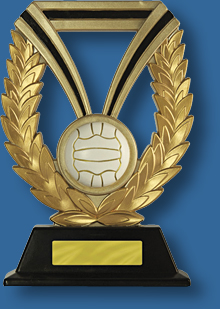 Gold netball trophy