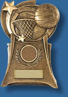 Gold netball victory award