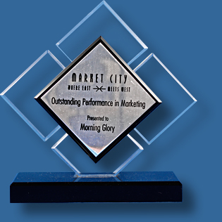 Glass and metal trophy 2