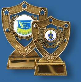 Gold shield awards with school logo