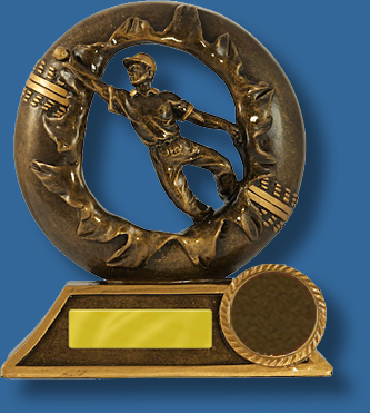 Bronze breahthrough cricket fielding trophy