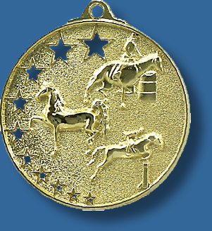 Equestrian medal bright star