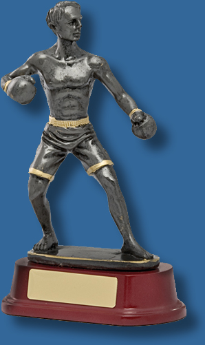 Silver Kickboxing trophy