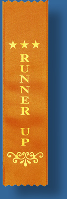 Runner up ribbon