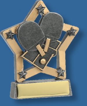 Table tennis trophy in star