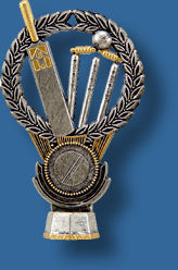 Cricket theme trophy grey