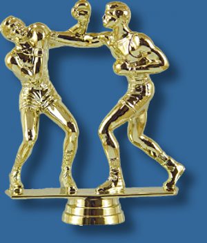 Boxing trophy pair