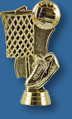 Gold netball trophy theme