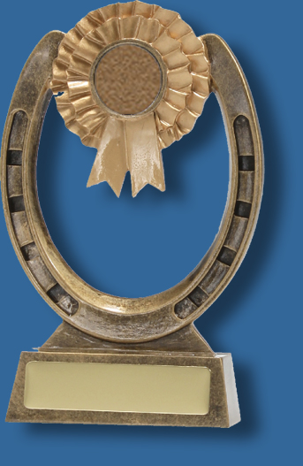 Bronze resin horse shoe rosette trophy