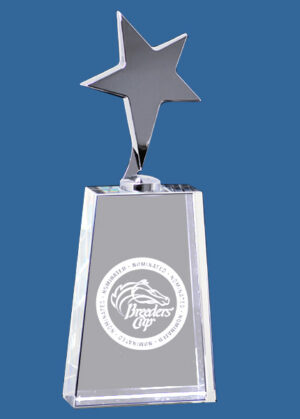 TSt#OCC-TS1311r Crystal Top Star Award Trophy