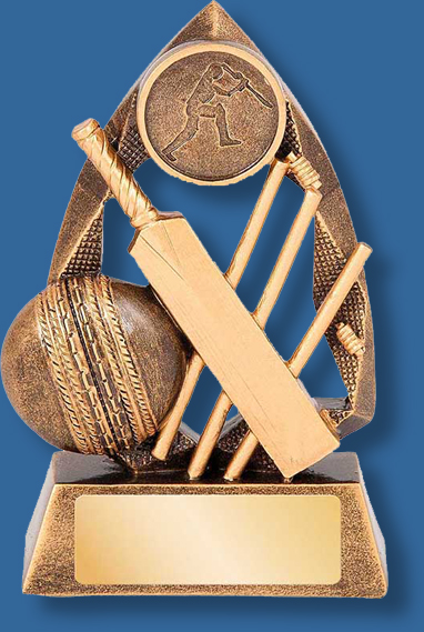 Gold cricket collage trophy