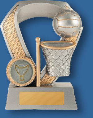 Gold evaton netball shield trophy