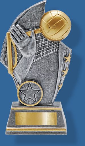 Generic Silver-Gold Volleyball trophy net and hand.