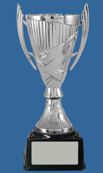 218-_Se Silver Plastic Cup with Black Base