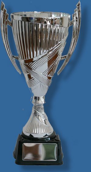 Plastic Silver Trophy cup