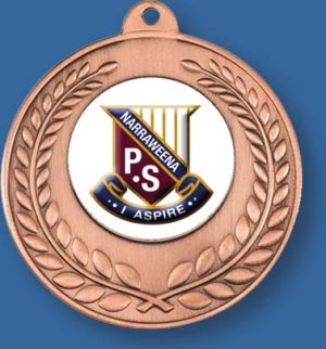 Bronze School award Medal with neck ribbon