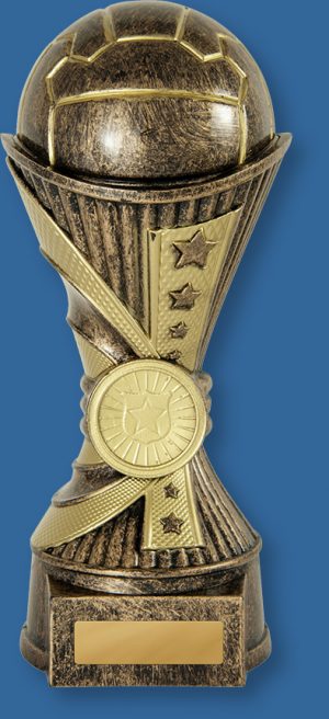 Netball Trophy Bronze Invictus Series