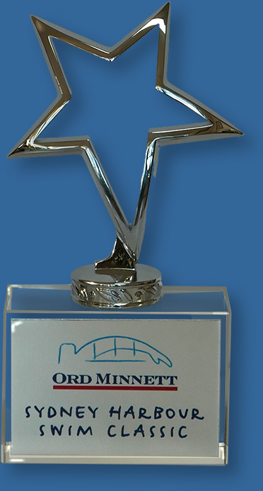 Crystal Trophy. Metal Star on Crystal Base