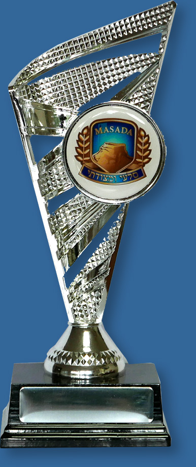 School Trophy with custom 2 inch Insert on Silver riser on black plastic base