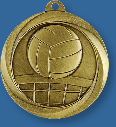 Volleyball Medal with neck ribbon.