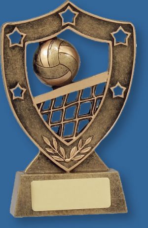 Volleyball Trophy Bronze Shield Series