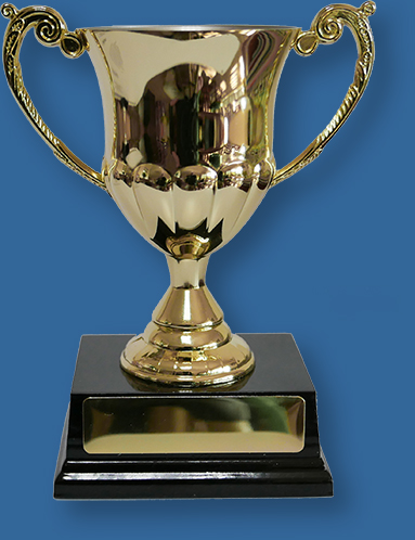 Gold Trophy Cup RH02t Ideal for Sporting Cups.