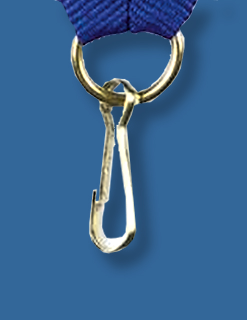 Ring and loop for attaching medals