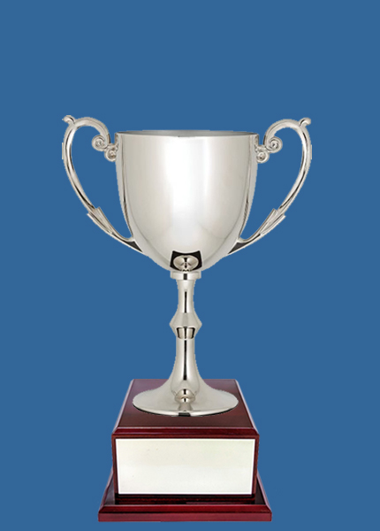 NP_ Quality Nickel Silver Trophy Cup on Rosewood smaller
