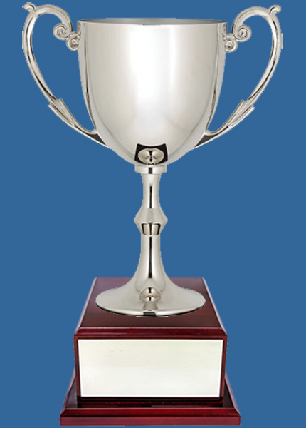 NP_ Quality Nickel Silver Trophy Cup on Rosewood