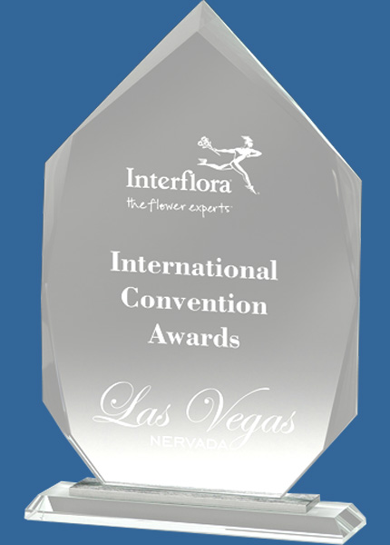 CT630_t Arrowhead Clear Glass Award Trophy with Metal Step