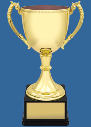 VT_t Quality Cast Metal Trophy Cup - Gold