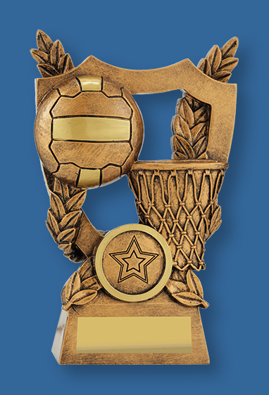 Generic netball trophy with gold shield, ball on gold base