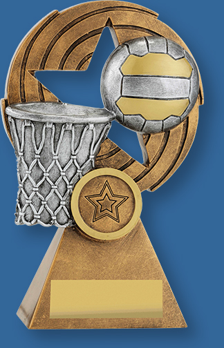 Generic netball trophy with silver ball and basket on bronze backdrop and base