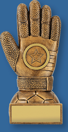 Resin Goalkeepers glove.