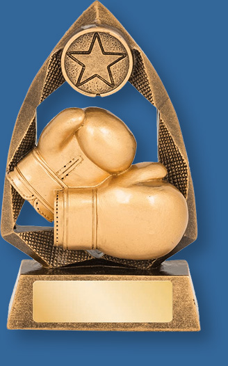 Boxing theme trophy gold with gold backdrop and base