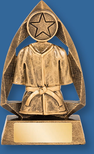 Karate theme trophy gold with gold backdrop and base