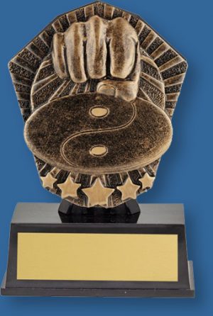 Martial Arts theme bronze trophy on black base