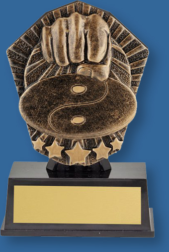 Martial Arts theme bronze trophy on black base