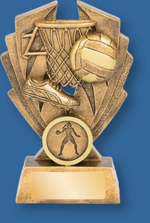 Netball theme trophy gold ball on gold backdrop and base